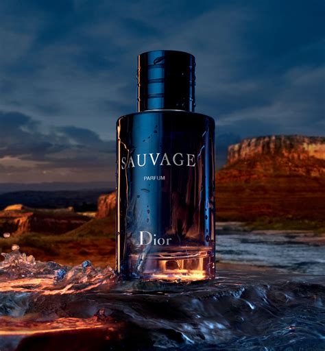 sauvage dior men review|sauvage dior men cologne review.